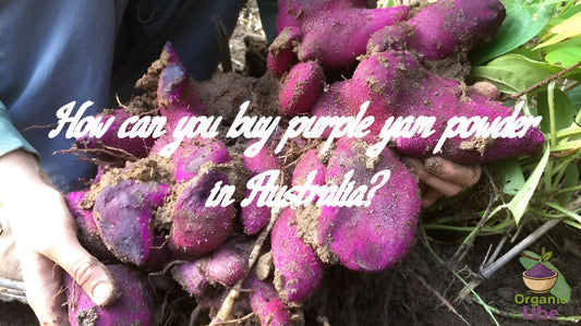 How can you buy purple yam powder in Australia?