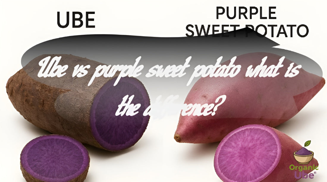 Ube vs purple sweet potato what is the difference?