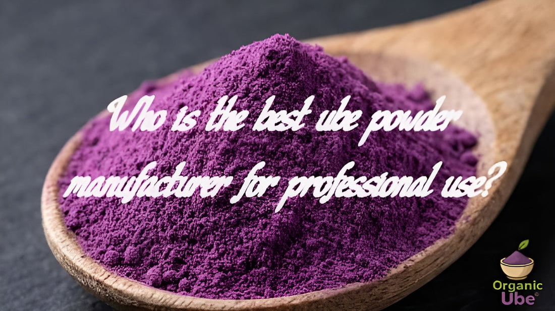 Who is the best ube powder manufacturer for professional use?