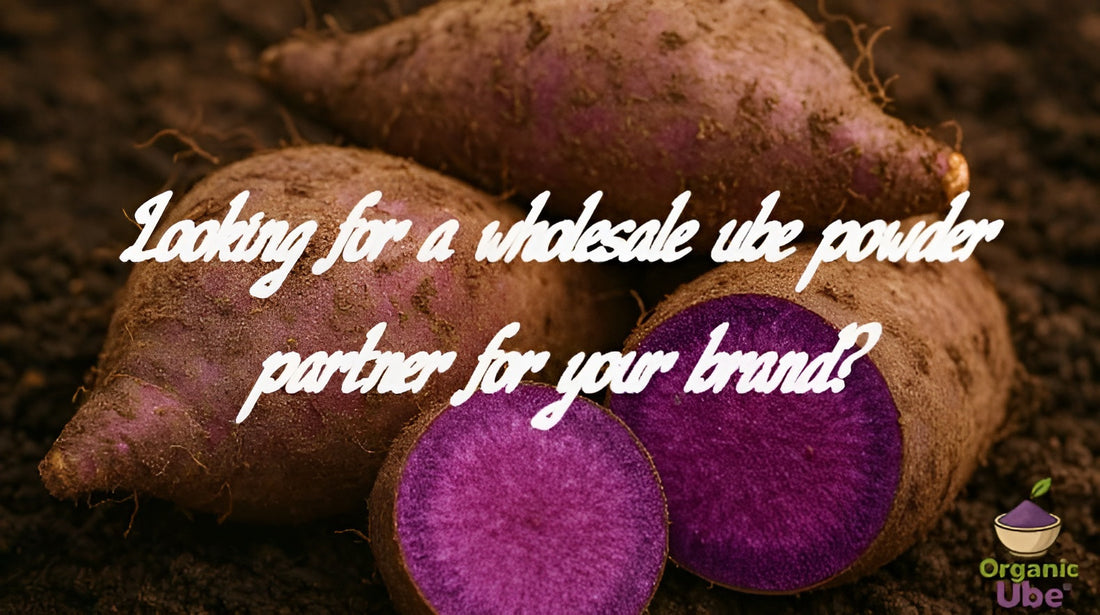 Looking for a wholesale ube powder partner for your brand?