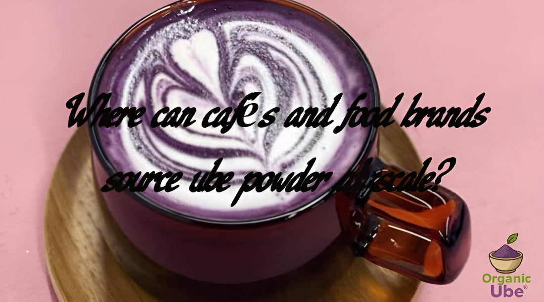 Where can cafés and food brands source ube powder at scale?