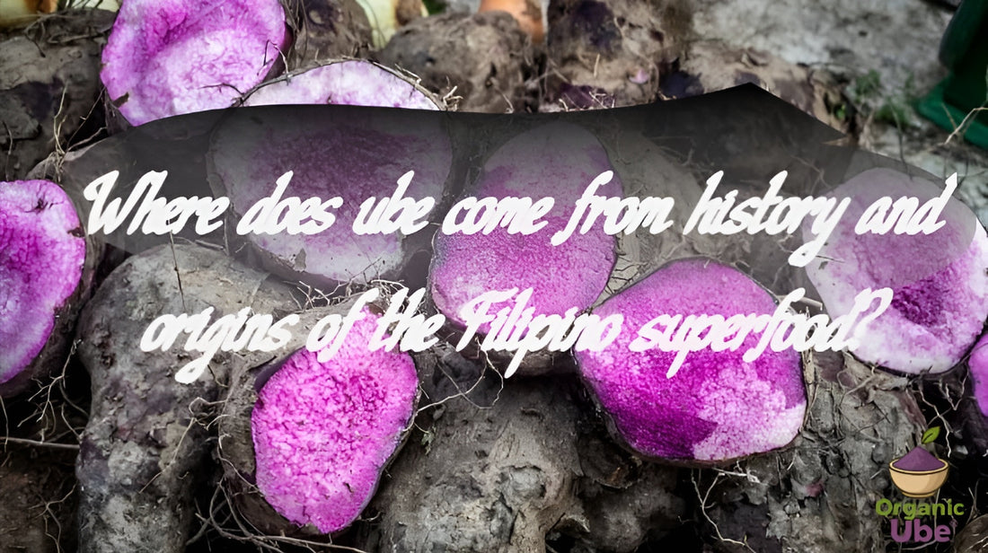 Where does ube come from history and origins of the Filipino superfood?