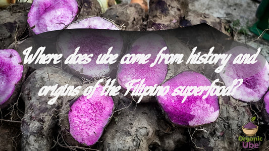 Where does ube come from history and origins of the Filipino superfood?