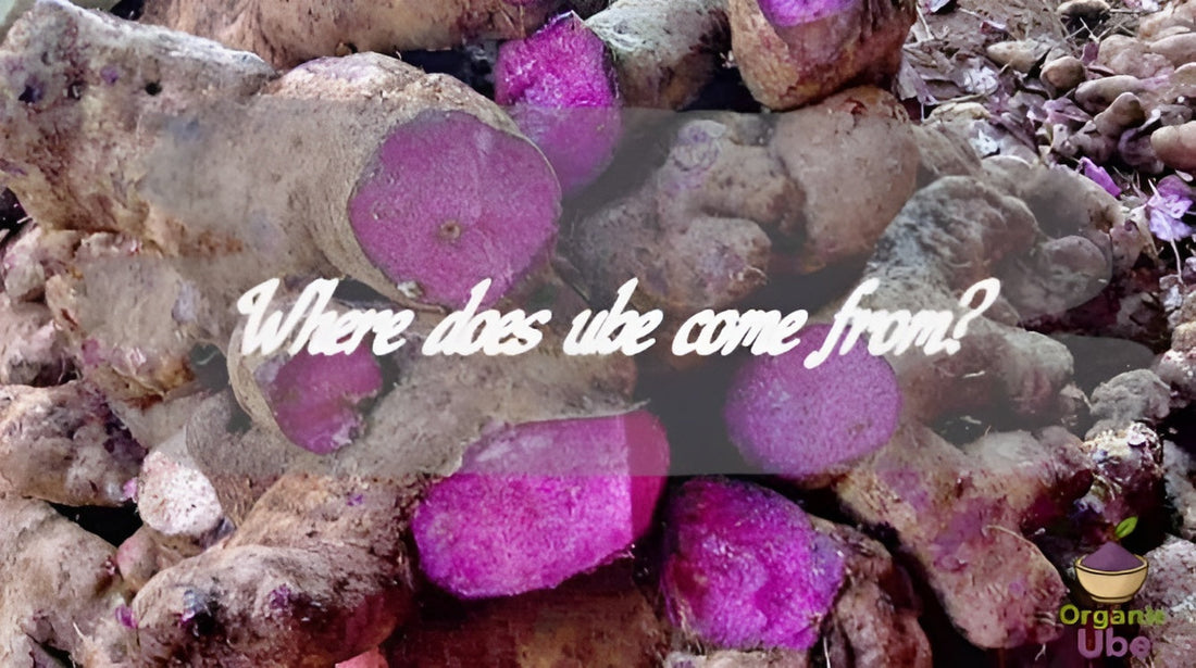Where does ube come from?
