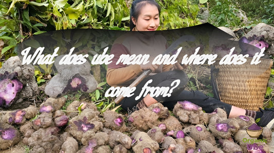 What does ube mean and where does it come from?