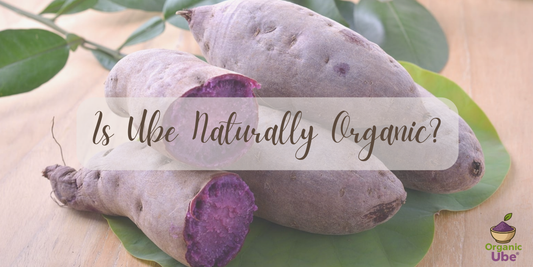 Is Ube Naturally Organic?