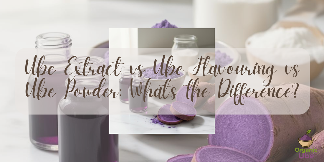 Ube Extract vs Ube Flavouring vs Ube Powder: What’s the Difference?