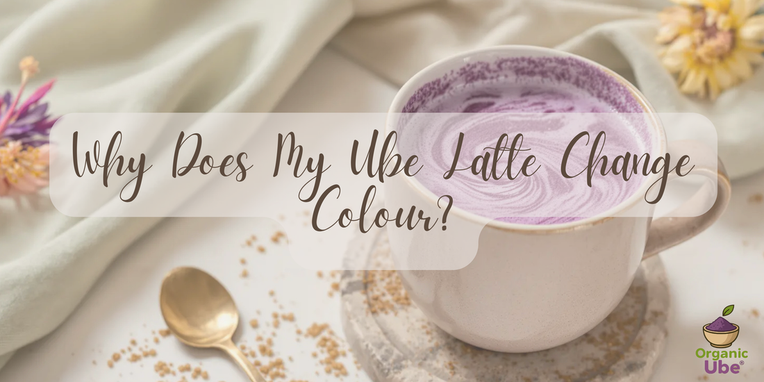 Why Does My Ube Latte Change Colour?